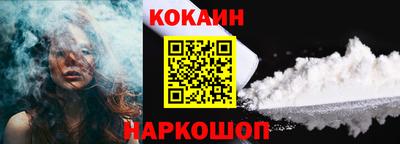 мет Кингисепп