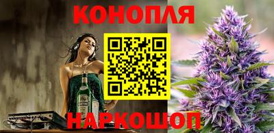 мет Кингисепп