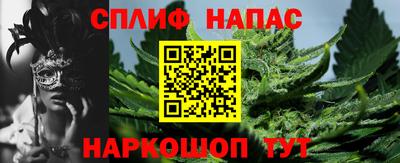 мет Кингисепп