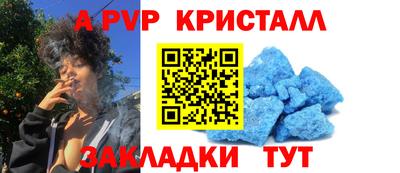 мет Кингисепп