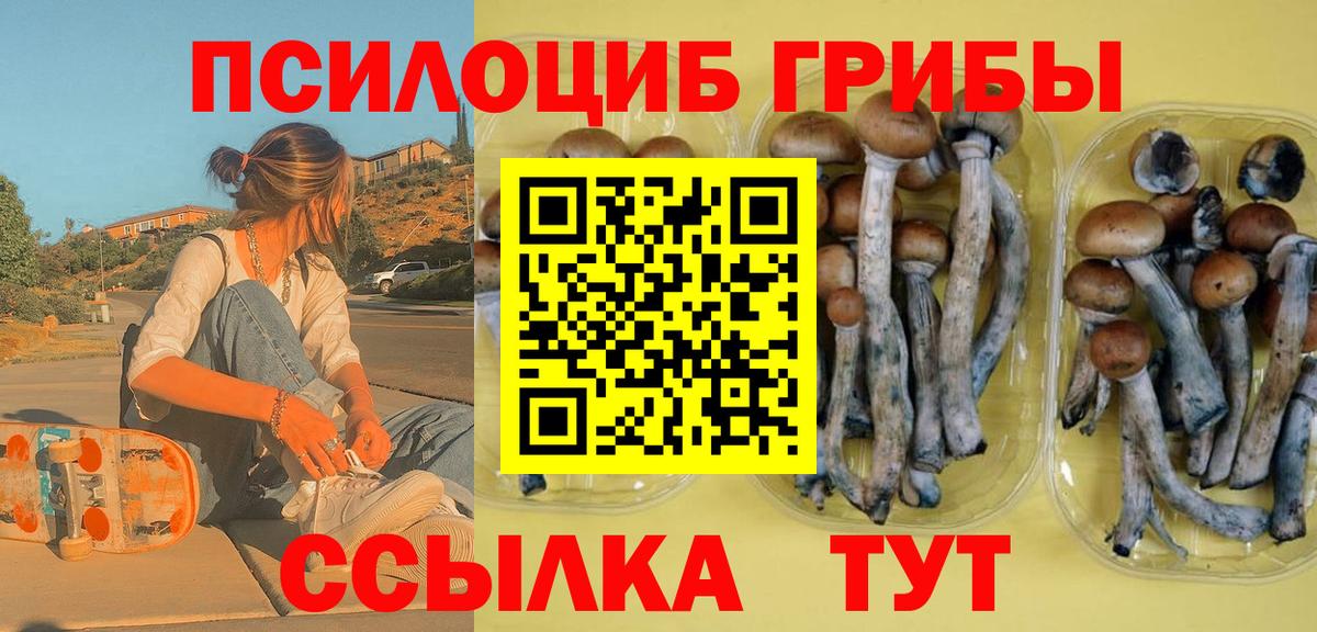 Псилоцибиновые грибы прущие грибы Арзамас